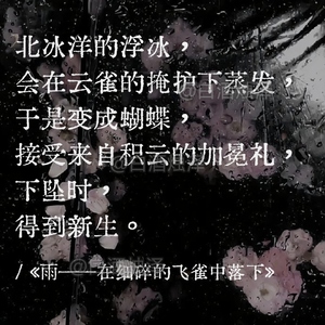 《雨——在细碎的飞雀中落下》