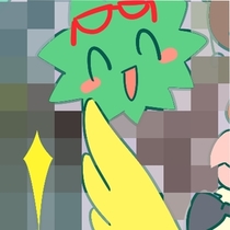 社