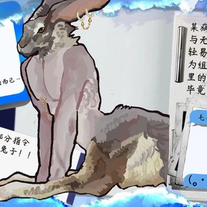 代传-柔柏特
