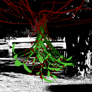 【卑鄙者的长青剑，人群中的换生灵】