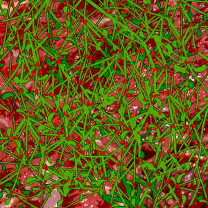 魔女处刑•Alban Arthuan【重生日】③