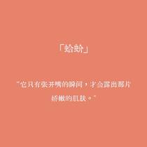 「FC」蛤蚧 夏日特供